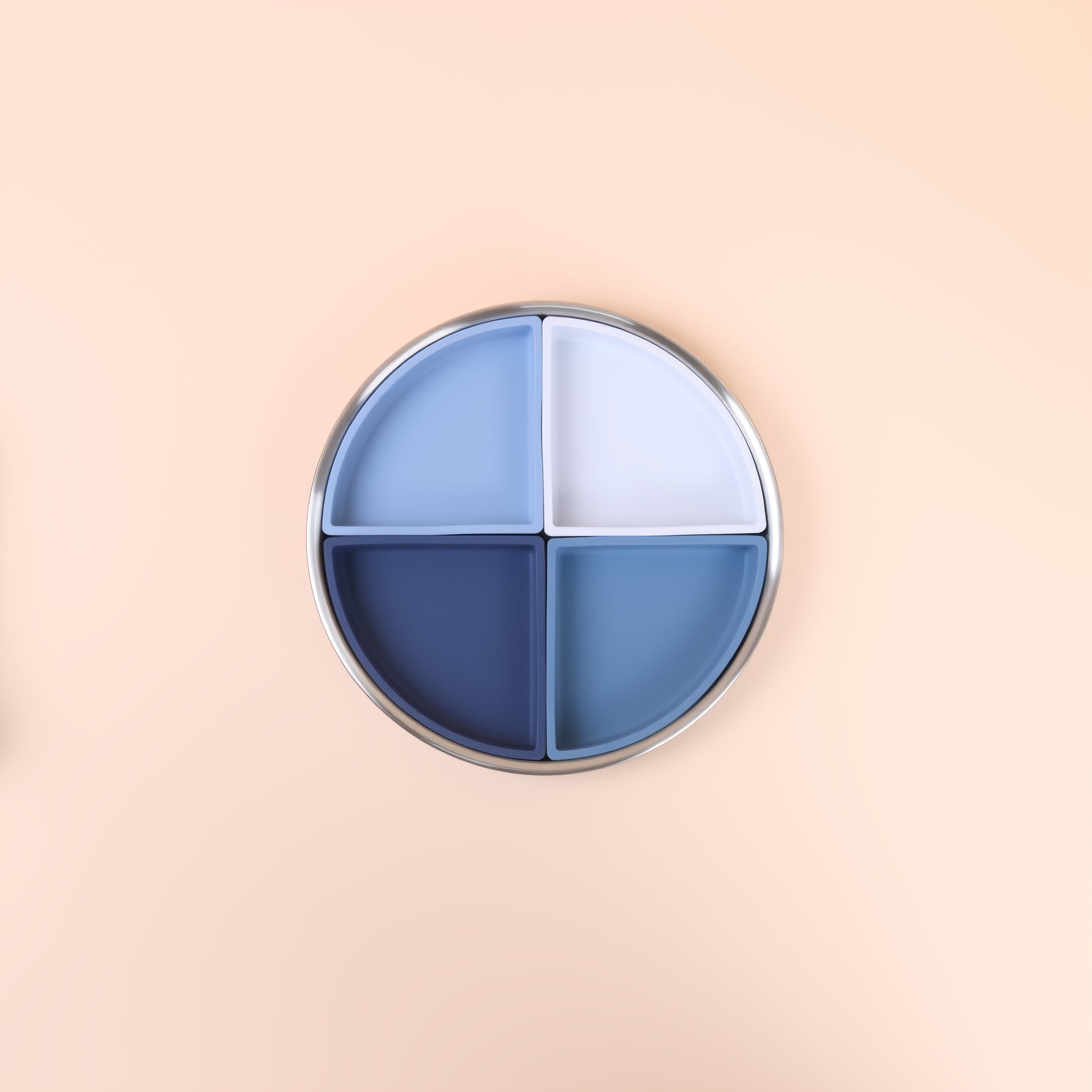 Stainless Steel Kids Plate with Removable Silicone Dividers