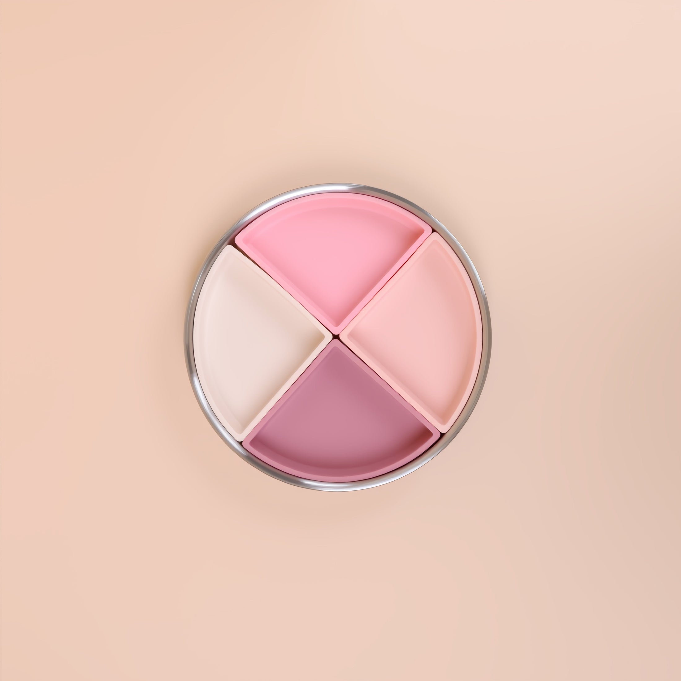 Stainless Steel Kids Plate with Removable Silicone Dividers